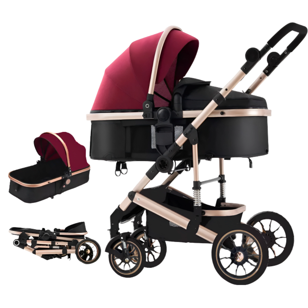 The Wiggley Wheels Stroller