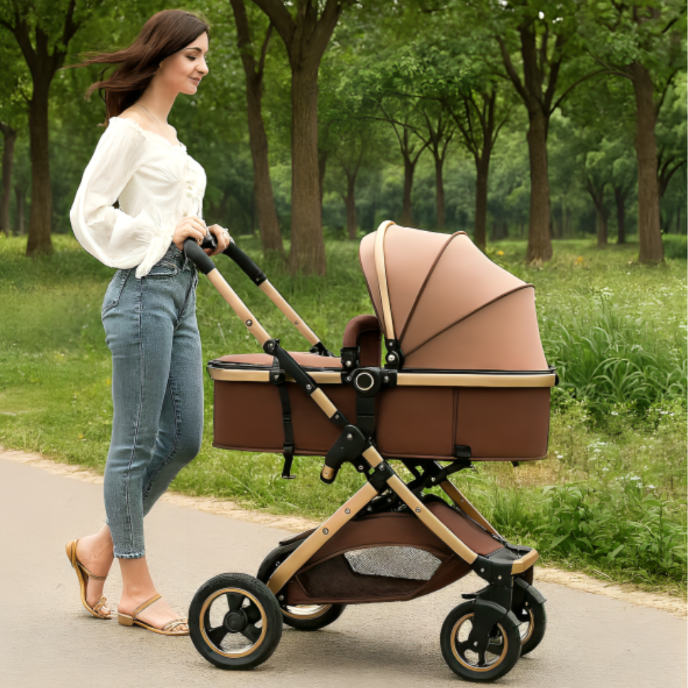 The Wiggley Wheels Stroller